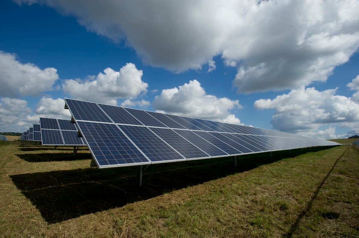 Panouri fotovoltaice montate la sol